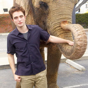 Robert Pattinson Robert Pattinson